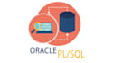 expertise in postgresql database sql programing