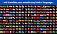 translate any type wordpress website into any multilanguage