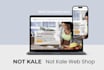 convert figma design to stunning responsive webflow website