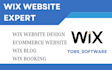 create wix website wix website redesign wix website development