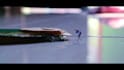 do vfx video, visual effect video editing with after effect