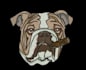 embroidery digitizing your logo into 2 hour
