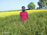 do work in agriculture business plans