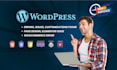 troubleshoot wordpress website issues fast within 24 hours