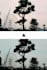 image editing and correction photo
