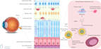 create scientific illustrations for your next project