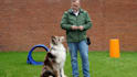 write SEO optimized articles for your pet blog