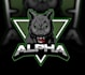 design a professional modern wolf logo
