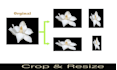 do your picture resizing, cropping and adjusting in quick time