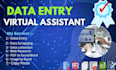 be your virtual assistant and data entry operator