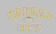 professional embroidery digitizing in 1 hours