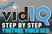 seo your youtube video and rank it first page with vidiq