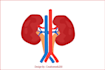 professional medical illustrations, drawings, and exercises