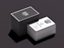 do professional luxury business cards and letterhead for you