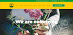 create stunning and responsive wordpress website with custom designs