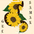 do adobe illustrator and vector work as per requirement