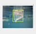 do image classification ,and object detection