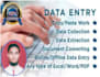 do data entry, retyping, copy past, image editing, databases