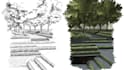 do professional landscape and architectural sketches and perspectives