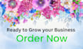 be your professional digital marketing manager