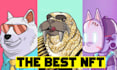 create a sensational nft collection