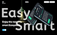 professional HTML, CSS, bootstrap, and javascript website development