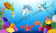 create 2d kids learning videos