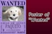 design an epic one piece wanted poster