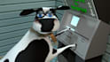 create an explainer or cash cow video for your business