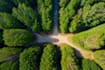 create ultrarealistic pictures using stable diffusion ai