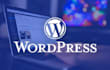 design wordpress ecommerce store, wordpress websites, online store