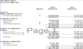 prepare financial statements, projections and accounting