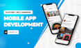 develop a professional flutter ios and android app with backend