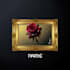 create professional album cover art