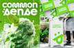 design food and beverage logo and visual identity