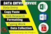 excel, data entry, PDF, word, PPT