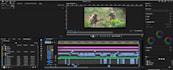 transform your footage into masterpieces