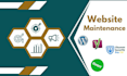 website maintain, backup or migrate your wordpress dashboard