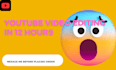 edit your youtube ,vlogs and other platform video professionaly