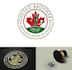 design a professional modern maple leaf logo
