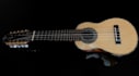 clases de charango para iniciales