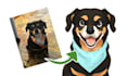 draw your pet as a cartoon disney character