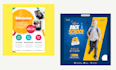 design summer camp,back to school and educational flyer and brochure
