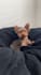create a ugc video for your pet product