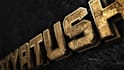 create black and gold 3d logo animation video in 24h