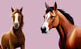make your pet cartoon