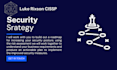 provide expert cybersecurity assessments