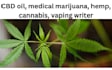 write cbd, hemp, cannabis, marijuana, thc content in 12 hours