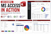 build a professional microsoft access database for your business