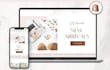 fix, customize, and set up shopify dropshipping store